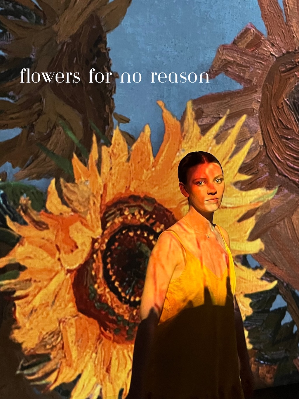Flowers For No Reason — Chad Hollister